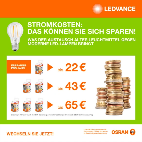 LED-Leuchtmittel »LED LAMPS ENERGY CLASS A ENERGY EFFICIENCY FILAMENT CLASSIC A«