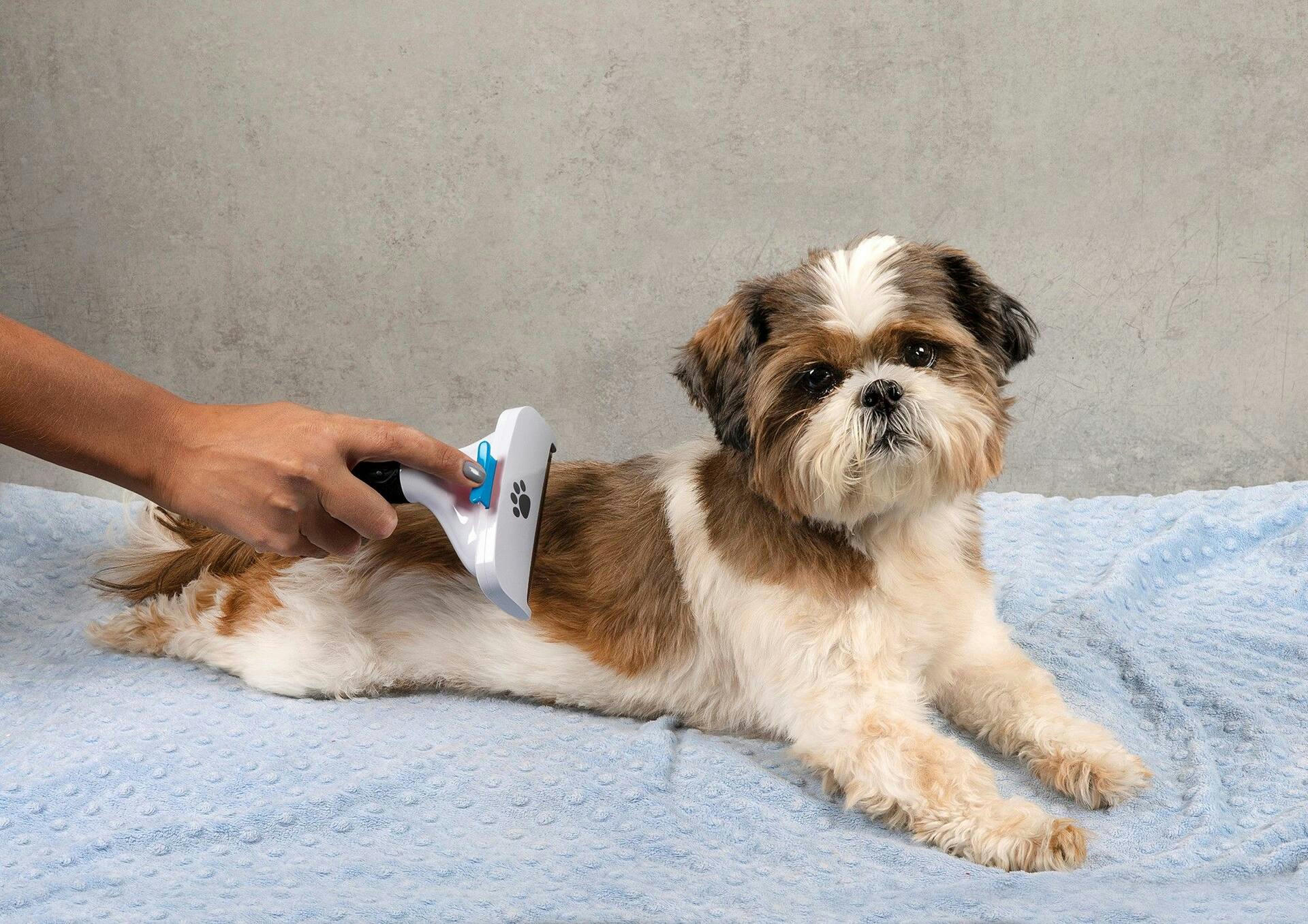 As Seen On TV Pet Grooming Brush