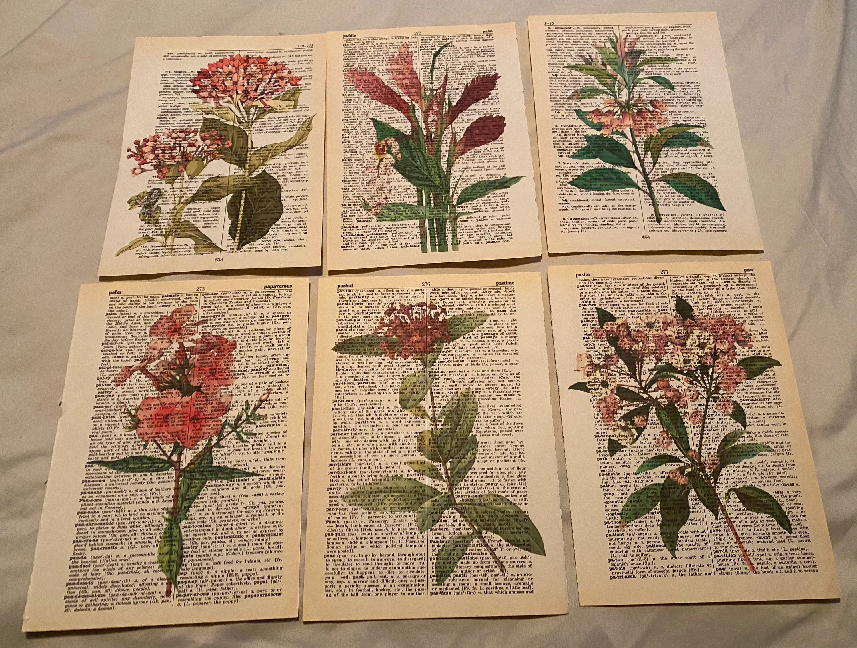 Flower Themed dictionary prints