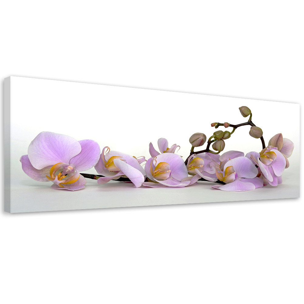 Feeby Obraz na płótnie, Kwitnący kwiat orchidei 90x30