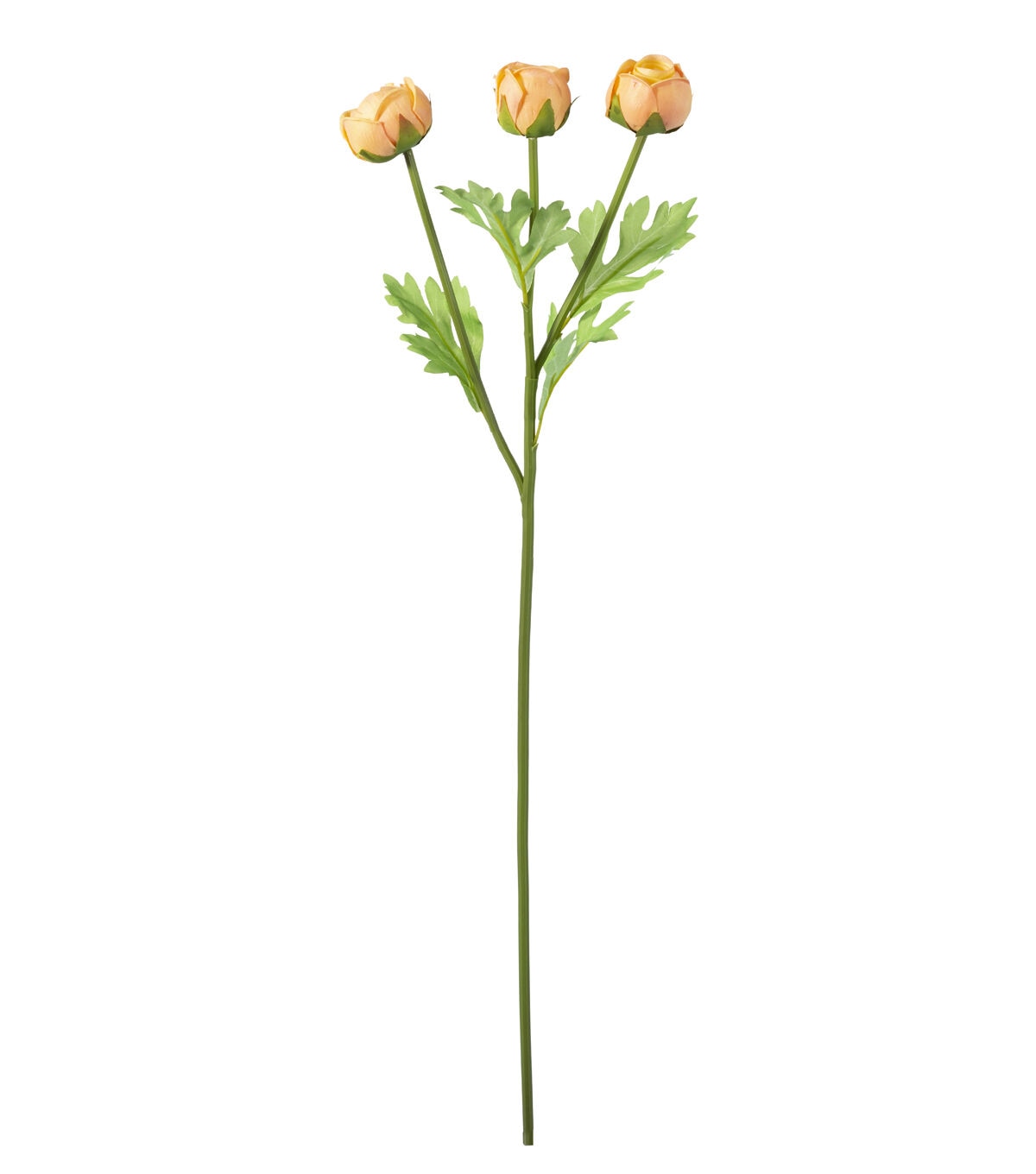 24.5 Peach Ranunculus Stem by Bloom Room