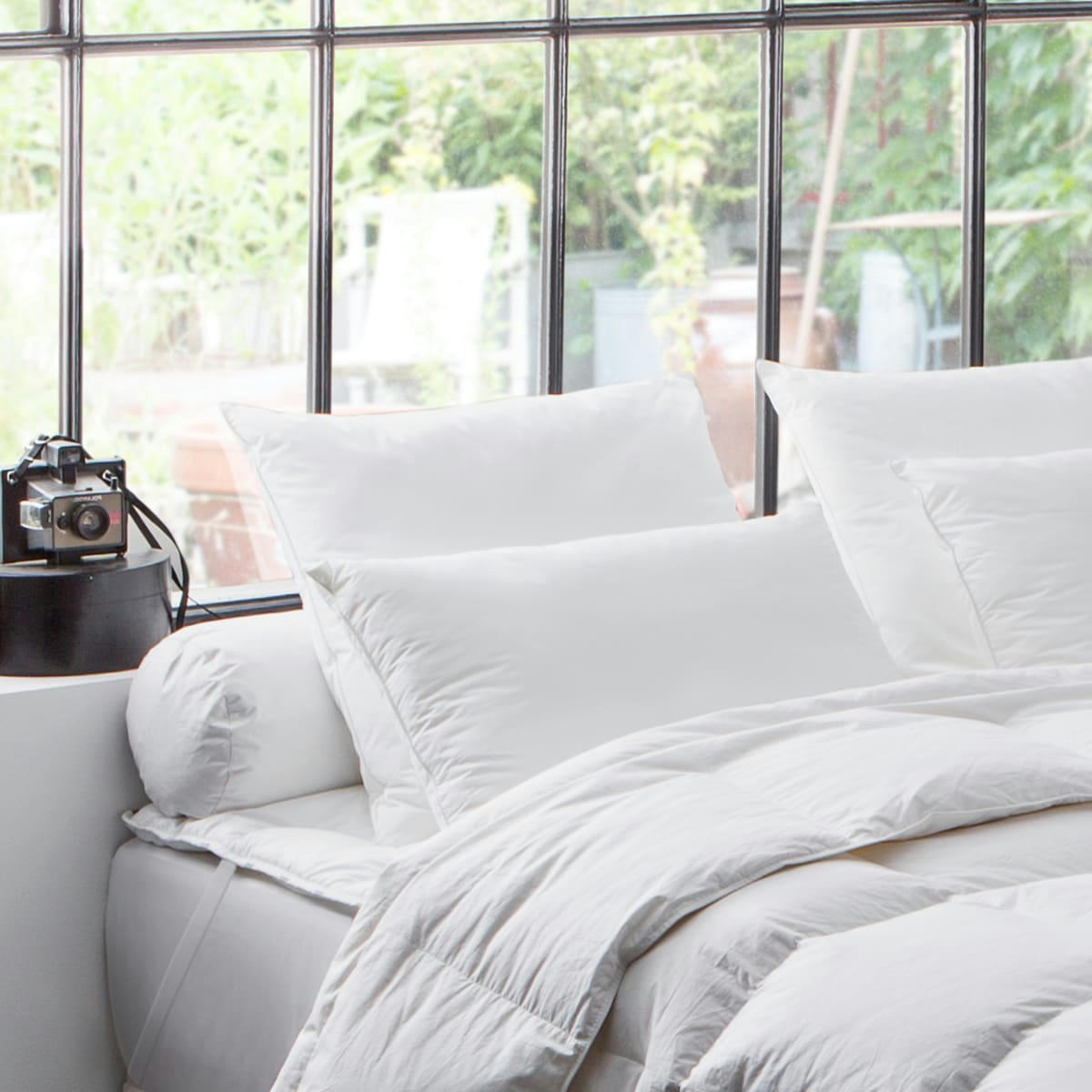 - Oreiller naturel 90% duvet de Canard 50x75 cm - DODO