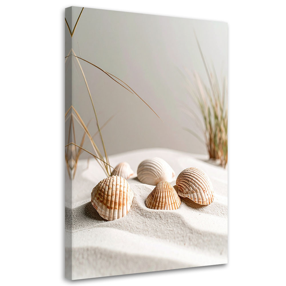 Obraz do salonu kuchni biura, Muszelki plaża rośliny natura beżowy 20x30