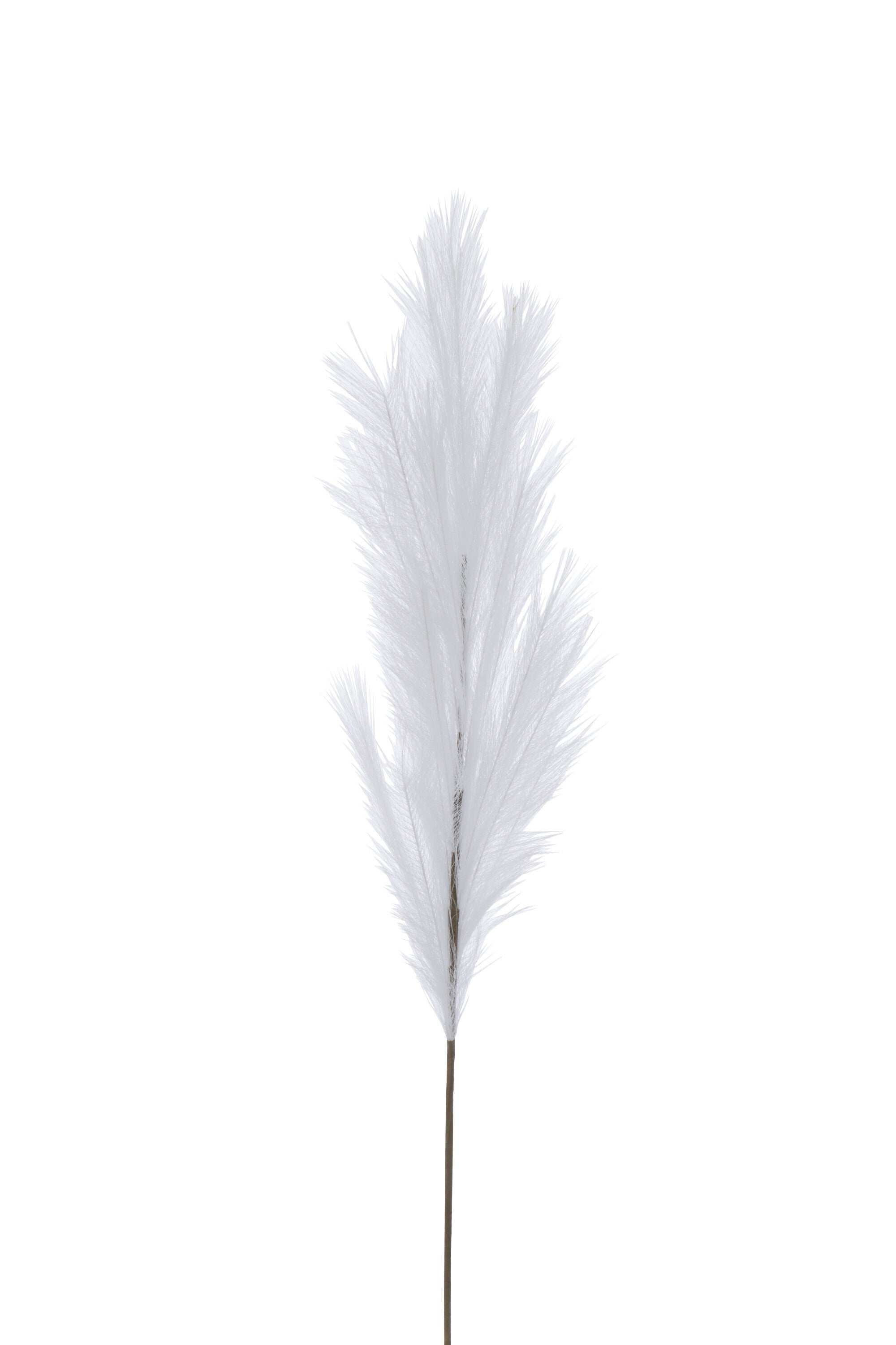 J-Line decoratie tak Plumeau - kunststof - wit - medium