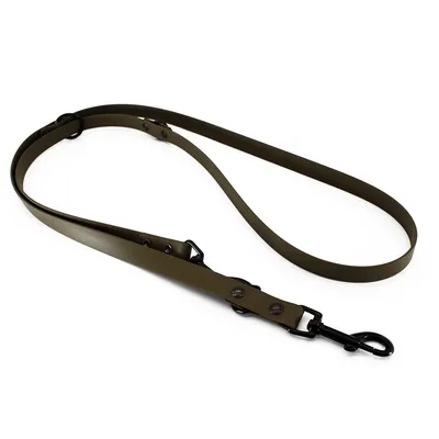 Home Adjustable BioThane® lead, olive