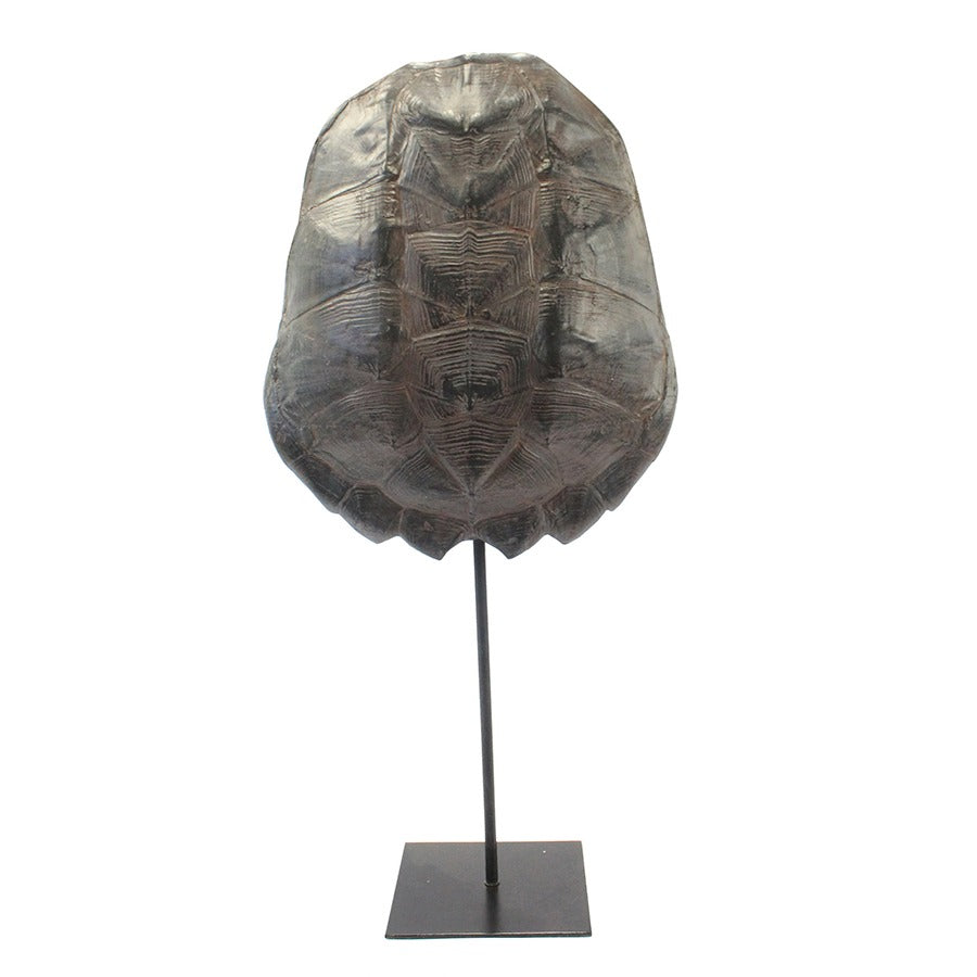 FurniLux Katana Large Brown - Schildpad - 28x12x57cm