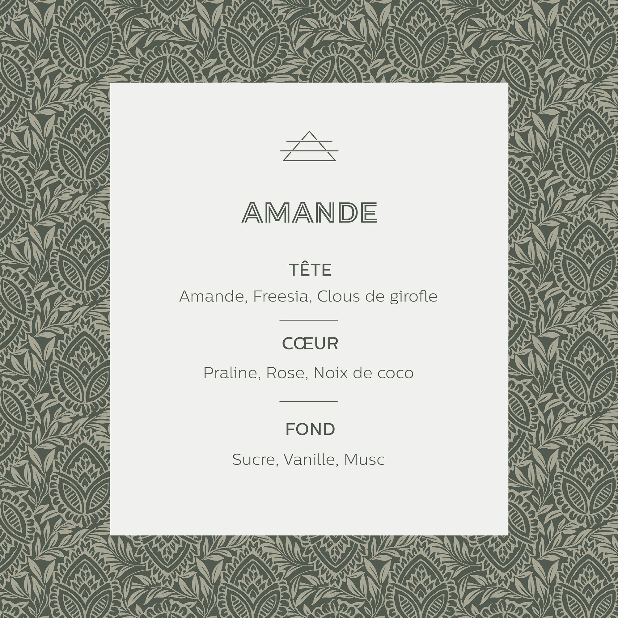 SIGNATURE - Diffuseur de parfum senteur Amande 100ml