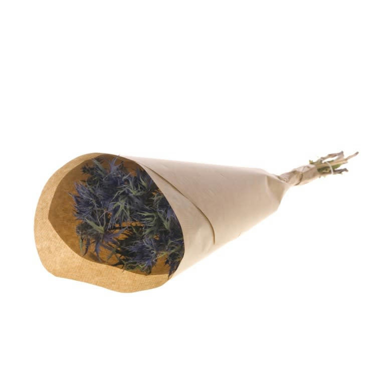 BFS - Botte Eryngium Blue Star