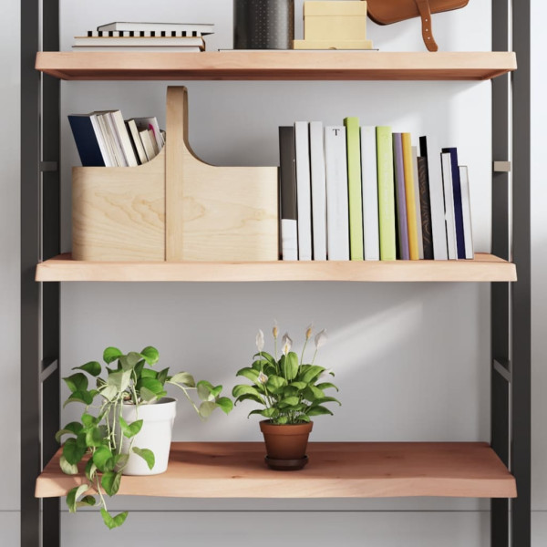 VidaXL Półka 100x40x(2-4) cm surowe