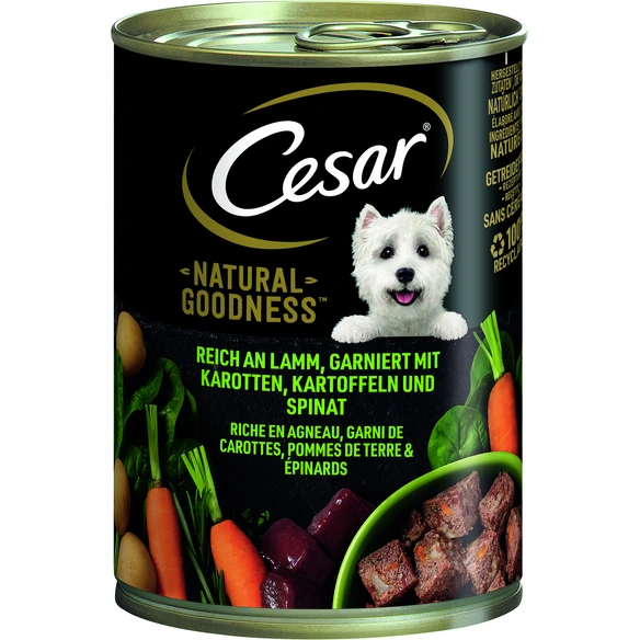 Hundetrockenfutter »Sensible«, 4 kg, Ente/Reis/Lachs