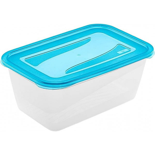 Grande Boîte de conservation et congélation 4,3 litres