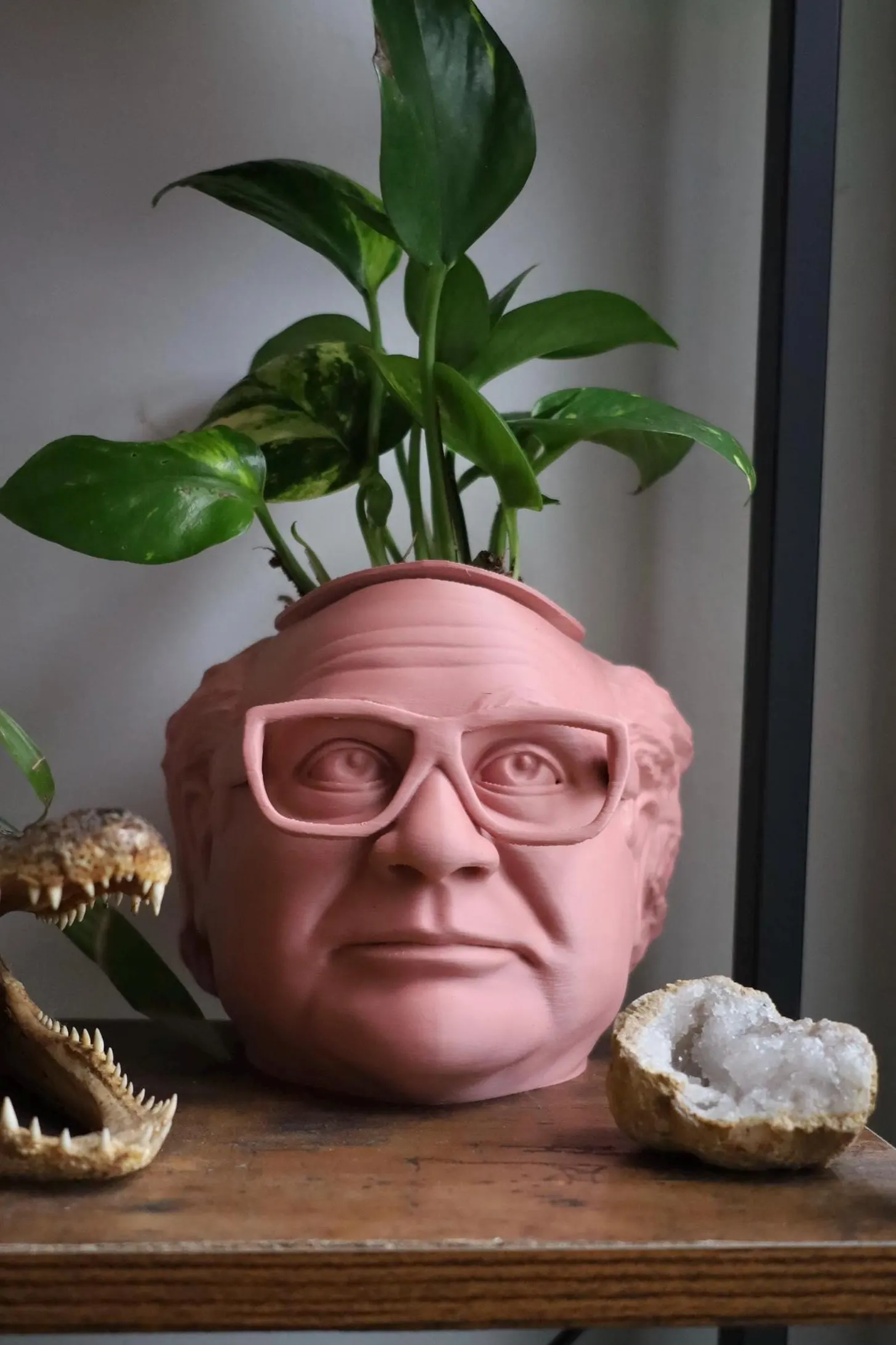 The Original Danny DeVito Frank Reynolds Head Planter For House Plants and Succulents