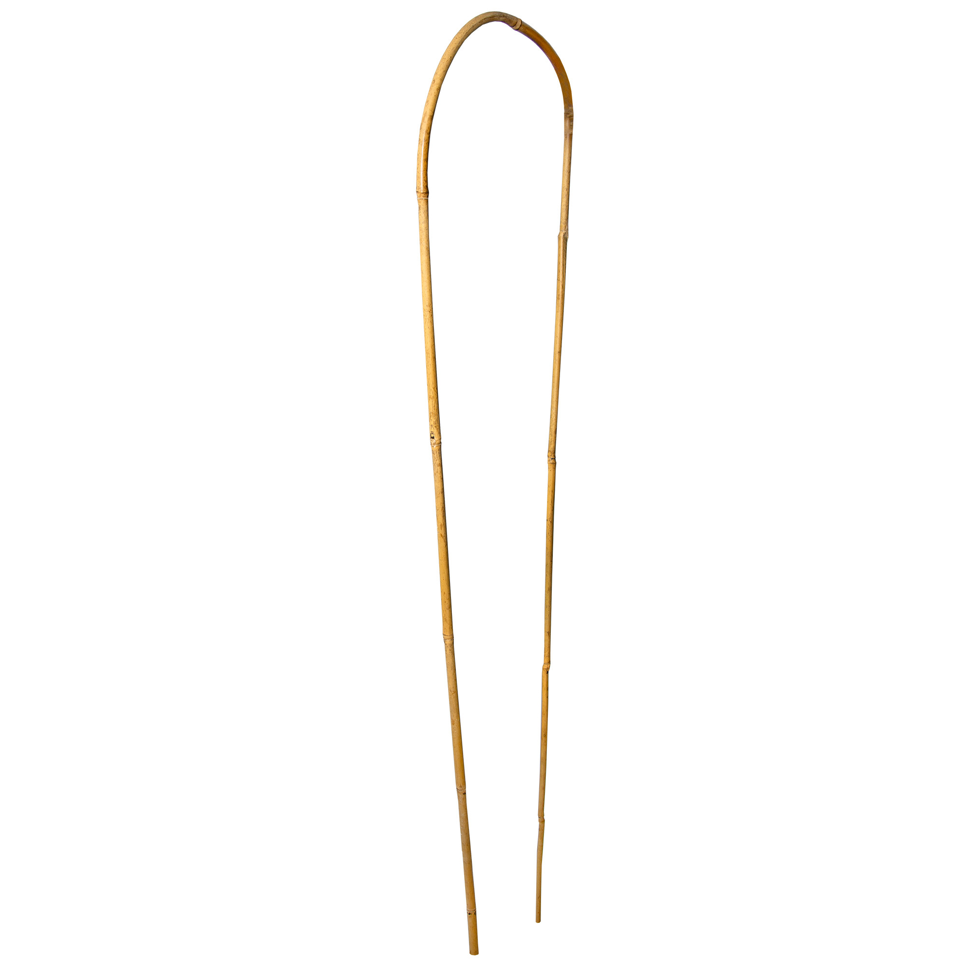 Łuk bambusowy 4iQ Group podpora do roślin 90 cm zestaw 25szt.