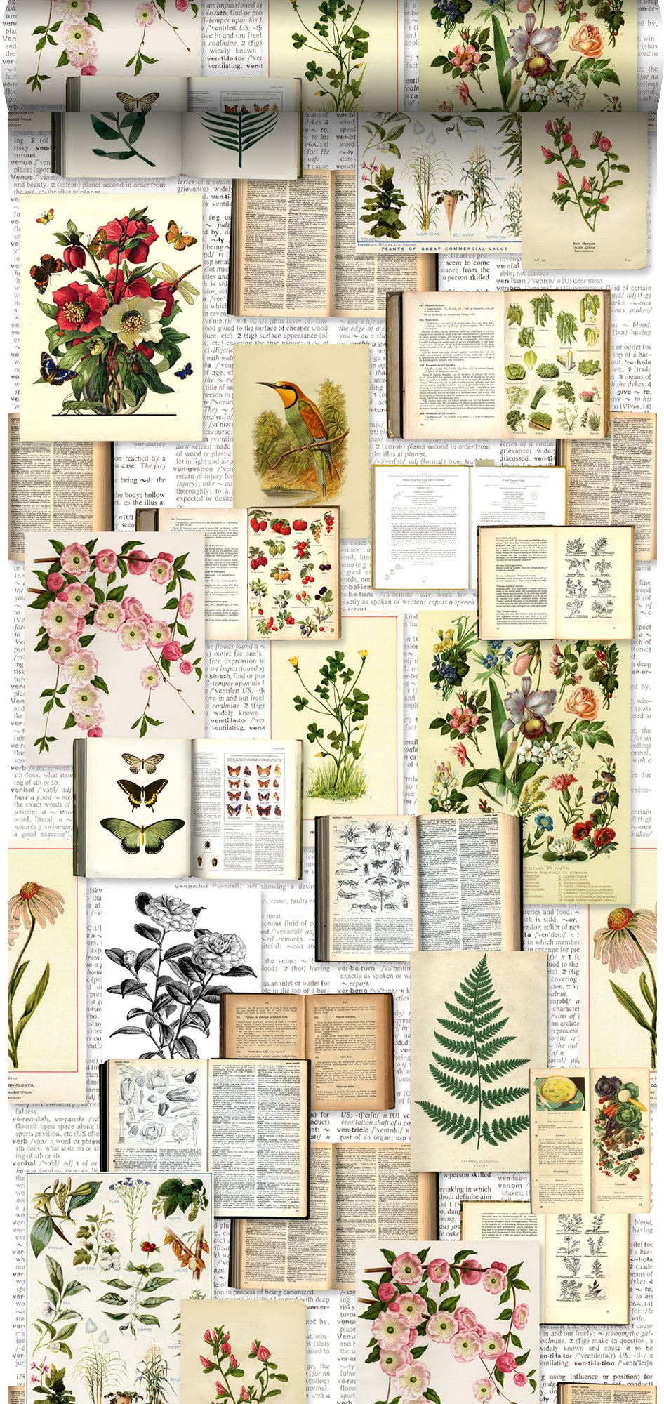 ESTAhome XXL behang bladzijden botanisch bloemen en planten boek geel 50 x 900 cm 158825