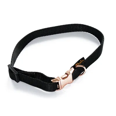 Home Collar Locked Rosé, Black