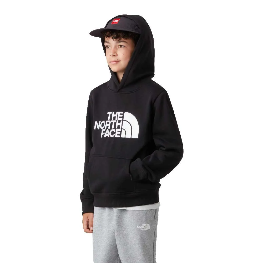 The North Face Drew Peak hoodie