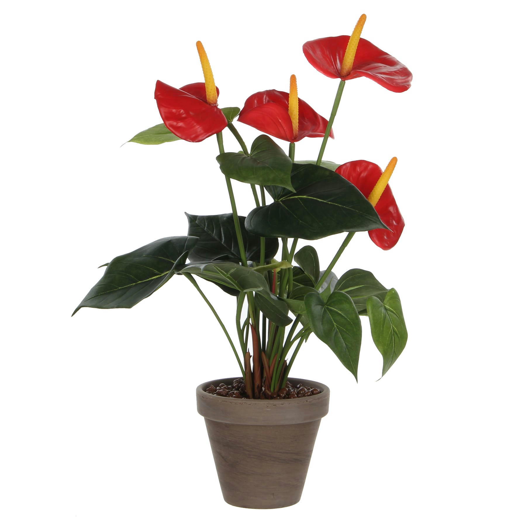 - Anthurium artificielle rouge en pot H40