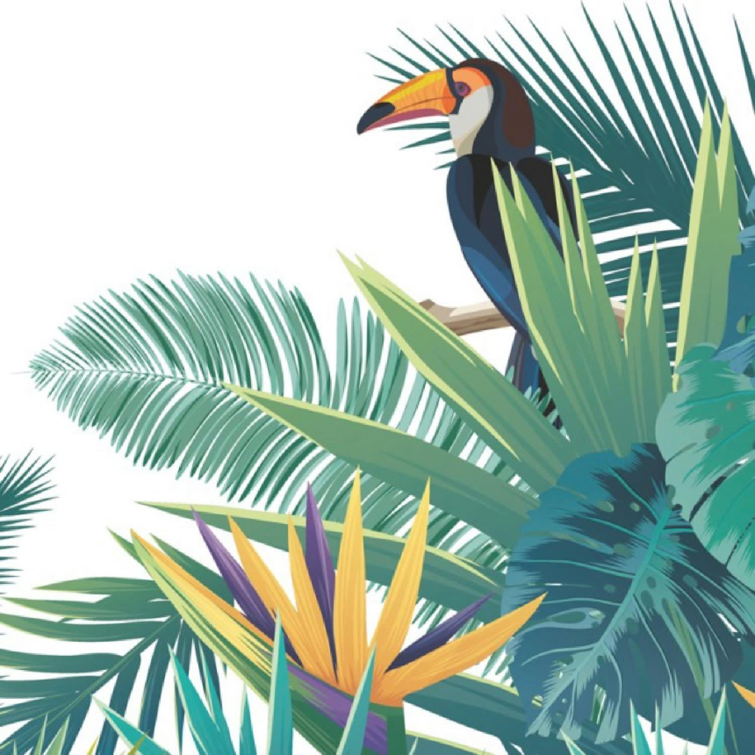 SECRET GARDEN - Papier Peint Panoramique L240xH270cm Multicolore Toucan