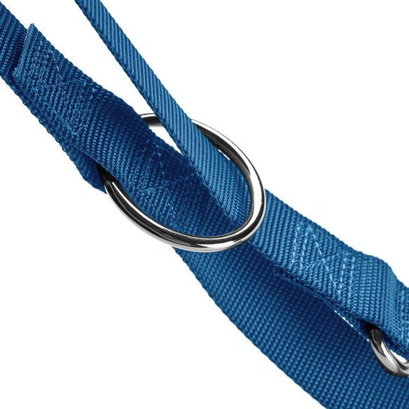 Führleine »London«, Gr. 200 cm, hellblau