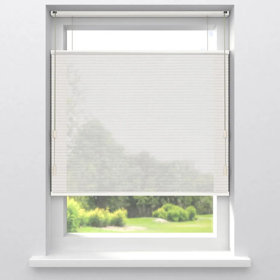 Kwantum Plisségordijnen | Fenstr Dubbel Plisségordijn Lou  Transparant Wit
