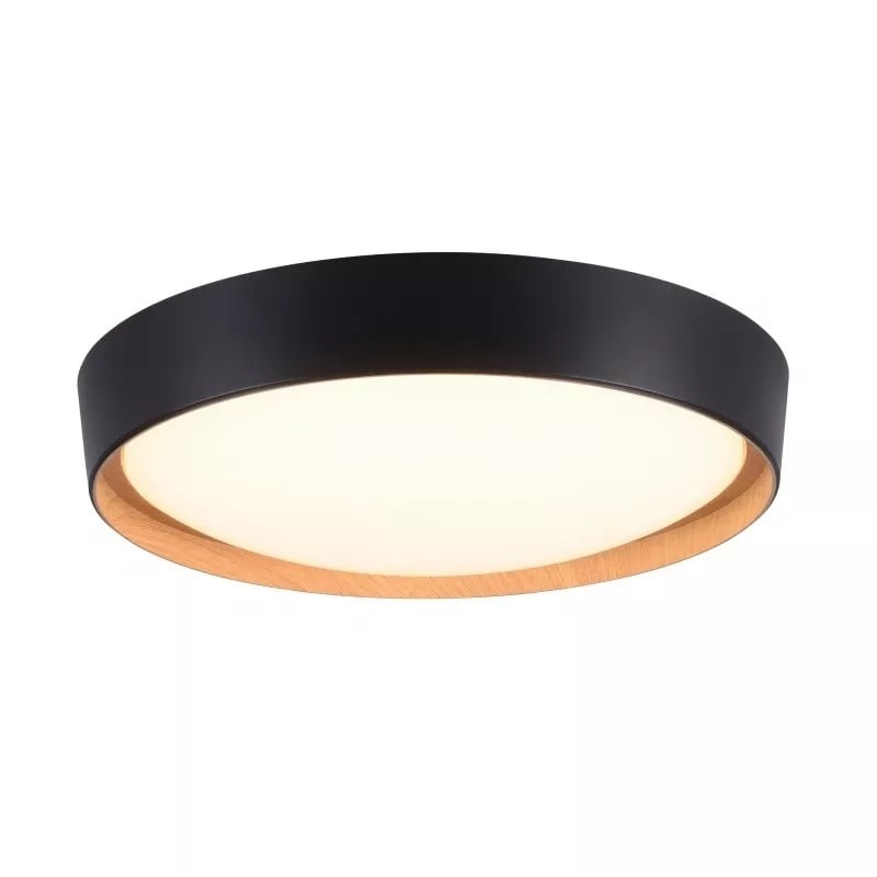Paul Neuhaus plafondlamp Emilia - 1 lichts - 40 x 10  cm - zwart