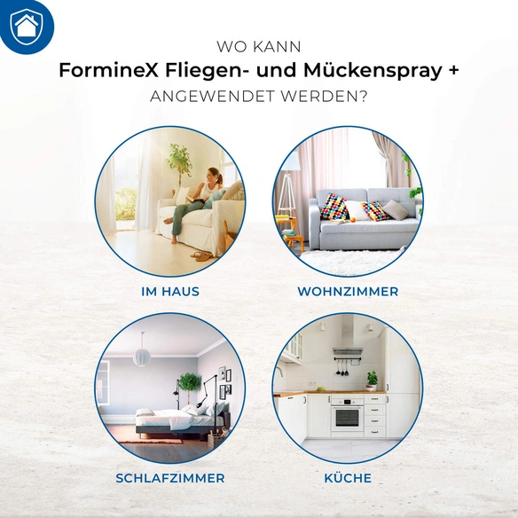 Biozid »Forminex«, Schützt vor: Insekten, 400 ml