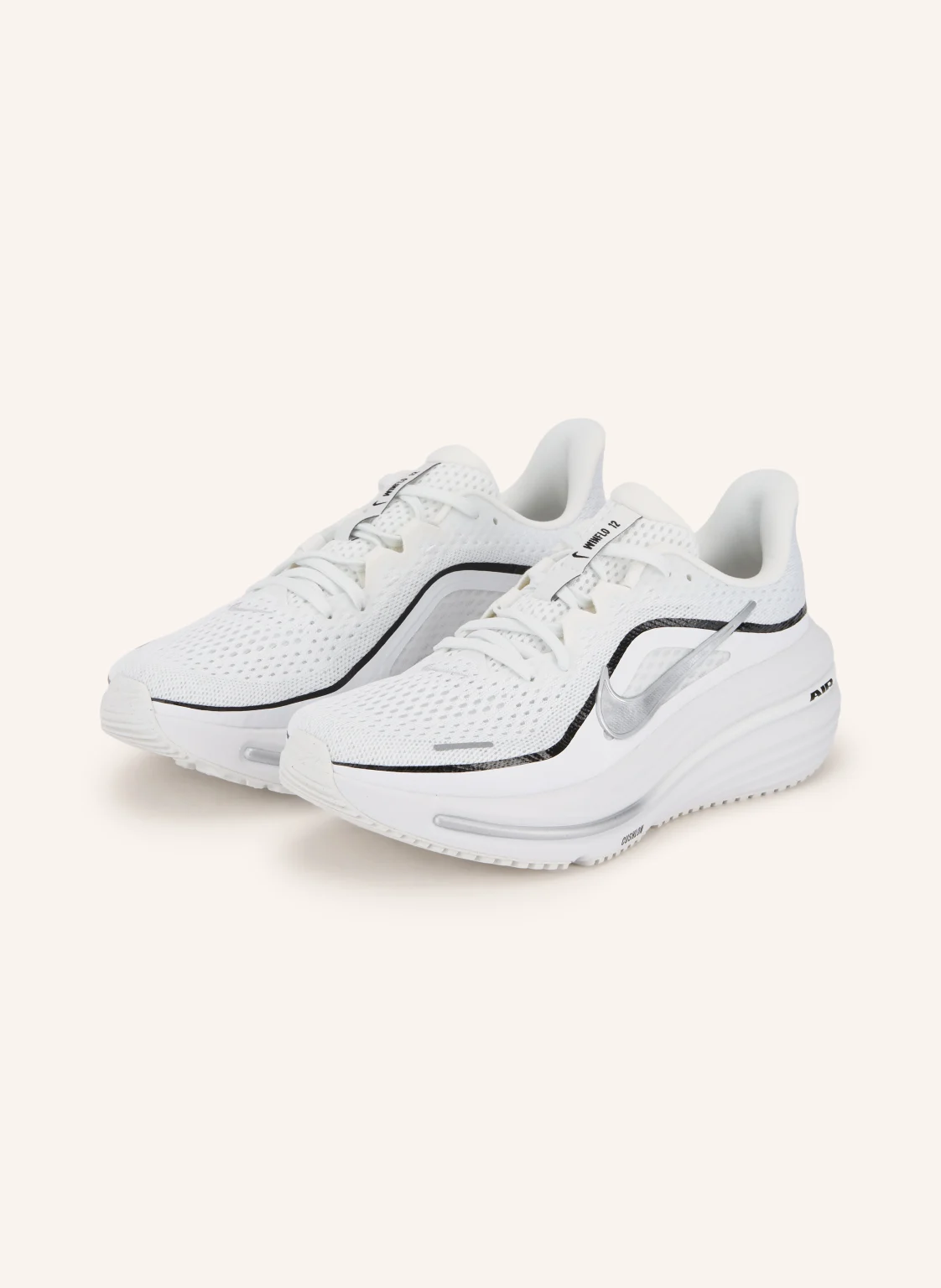 Nike Laufschuhe WINFLO 12