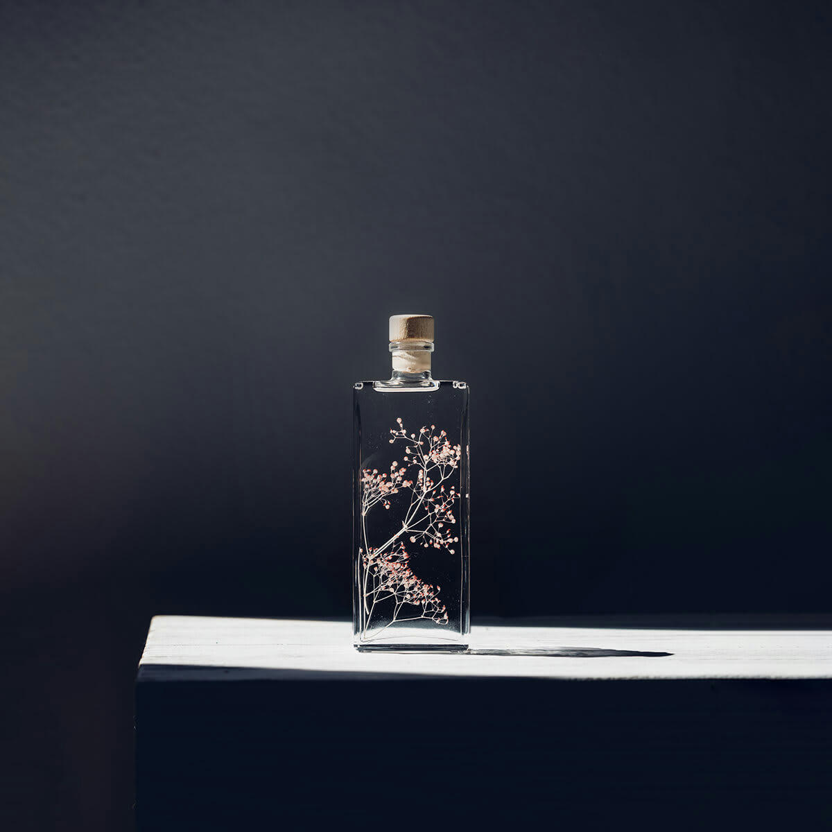 HERBARIUM DE THEOPHILE - Plante immergée Gypsophile rose