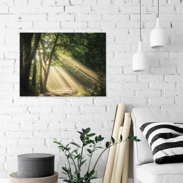 Obraz Na Płótnie Ścianę Las Natura Drzewa Do Sypialni Salonu Kuchni 60X40