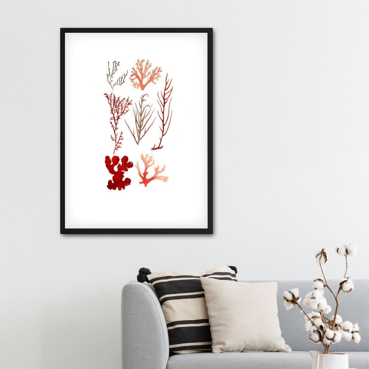 CORAL - Affiche avec cadre noir - Coraux - 50x70