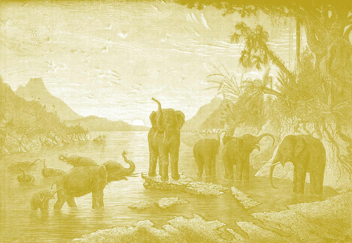 - Papier peint panoramique gravure les éléphants 390x270cm