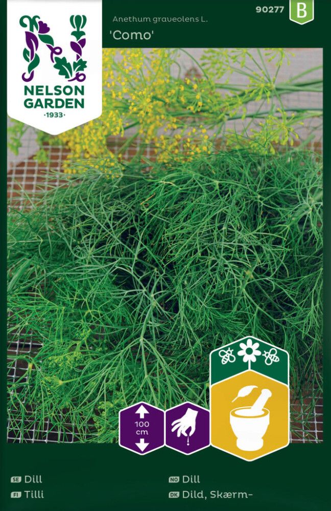 KRYDDERURTER NELSON GARDEN DILL GRØNN COMO