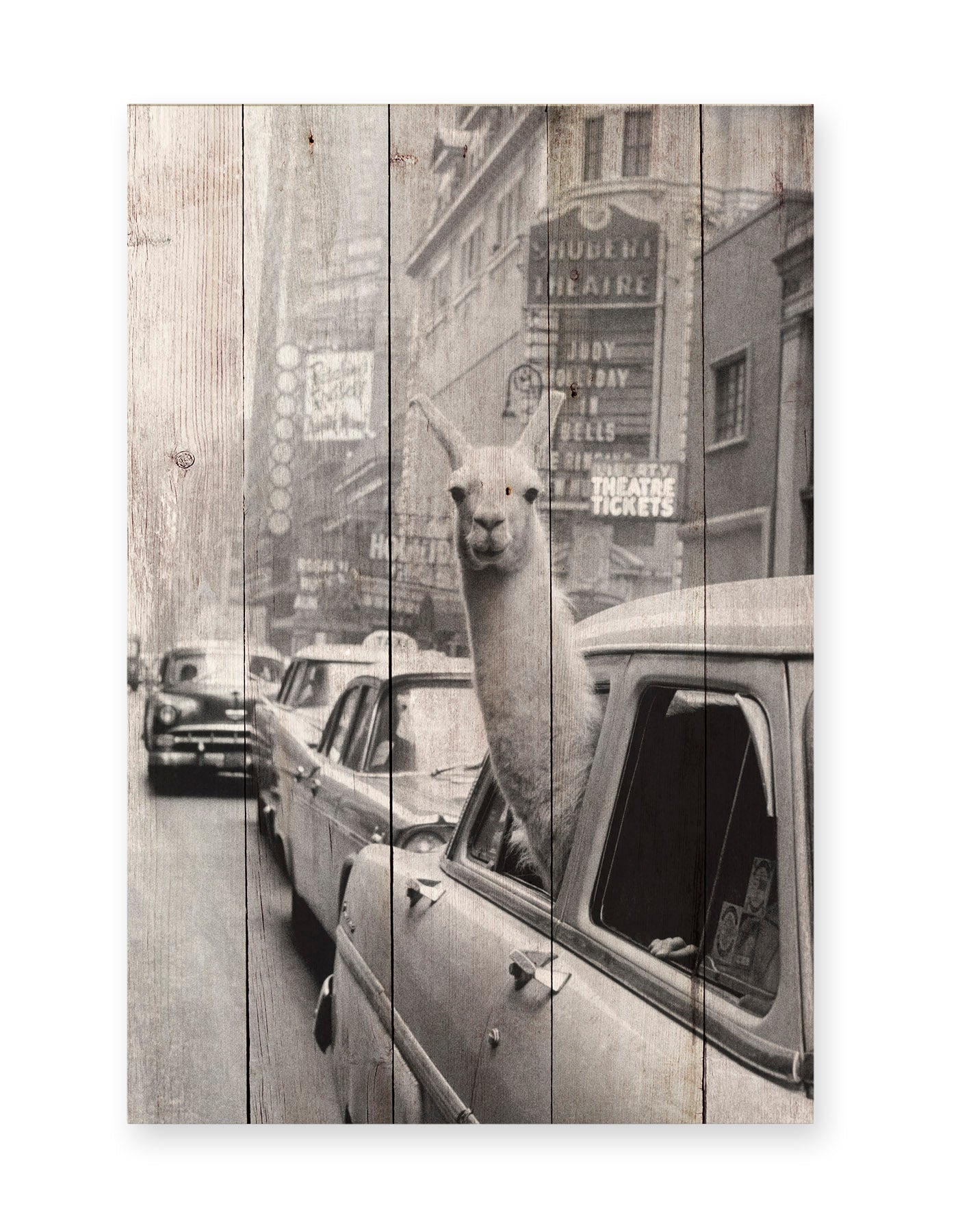 Really Nice Things - Paneel - 60x40 cm - Llama