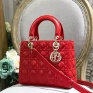 Dior The LADY D-LITE Bag