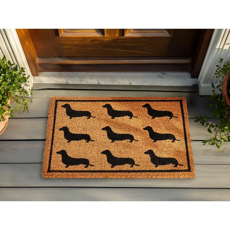 SIKARAM - Deurmat - Natuurlijk - 40 x 60 cm - Kokos