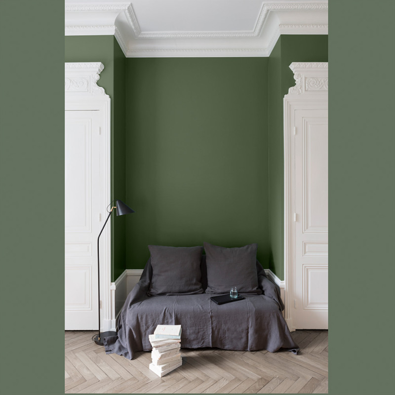 Peinture pour murs Velours de Peinture vert treillis mat 2,5 L LIBERON