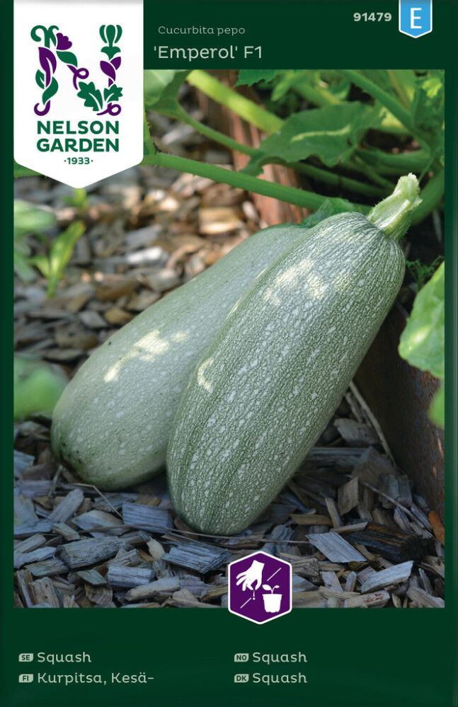 GRØNNSAKSFRØ NELSON GARDEN SQUASH EMPOROL F1