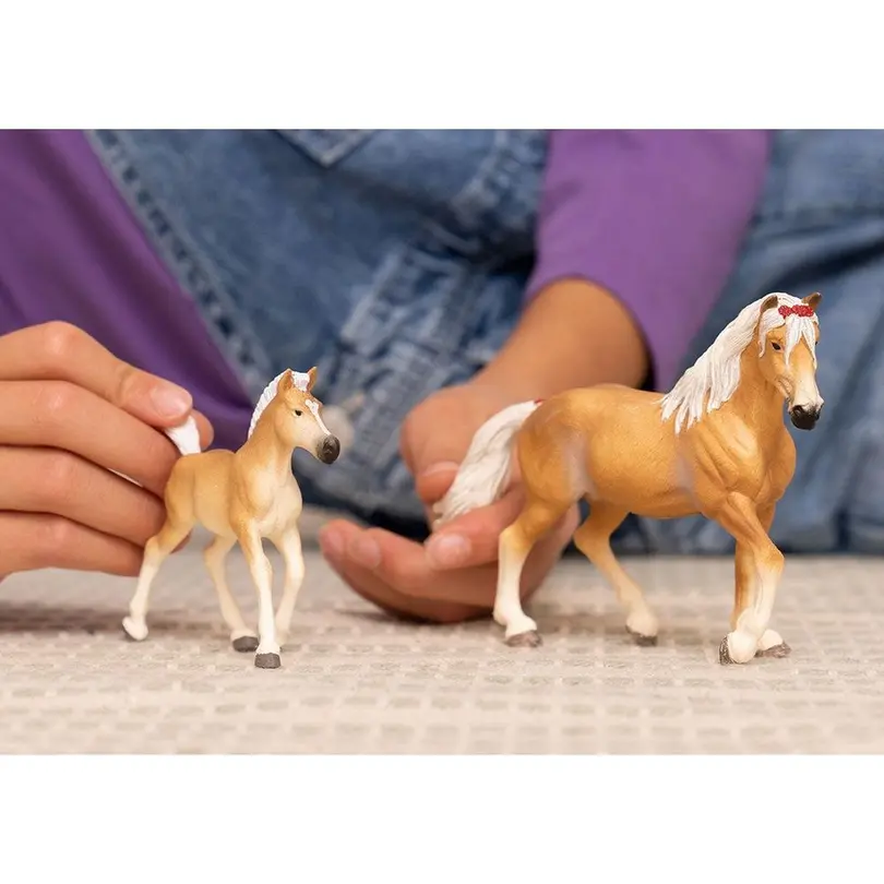 Spielset Horse Club