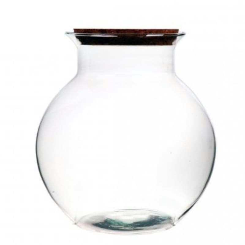 - Terrarium en Verre bouchon liège Bose Tulip 19x20