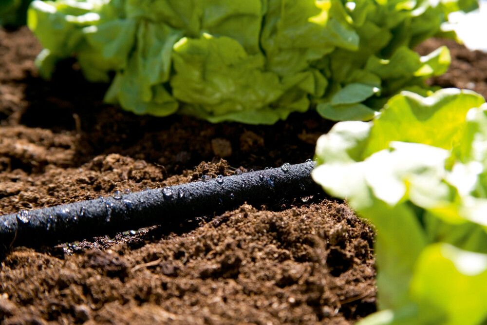 SVETTESLANGE GARDENA 15M