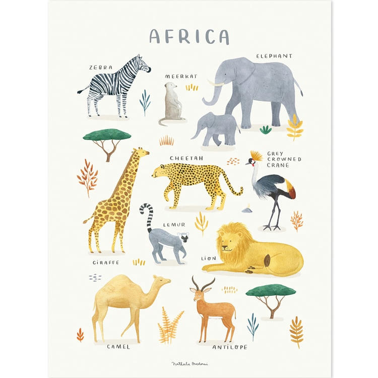 LIVING EARTH - Affiche Animaux d'Afrique (30 x 40 cm)