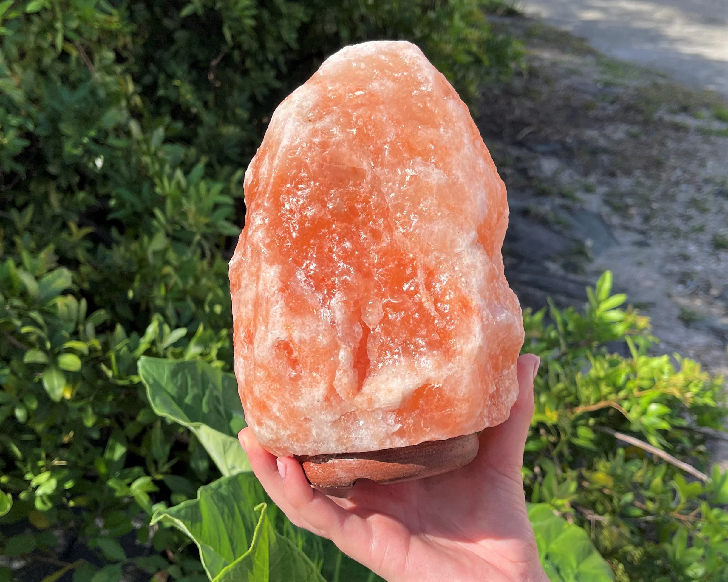 LARGE Natural Himalayan Salt Lamp - 8