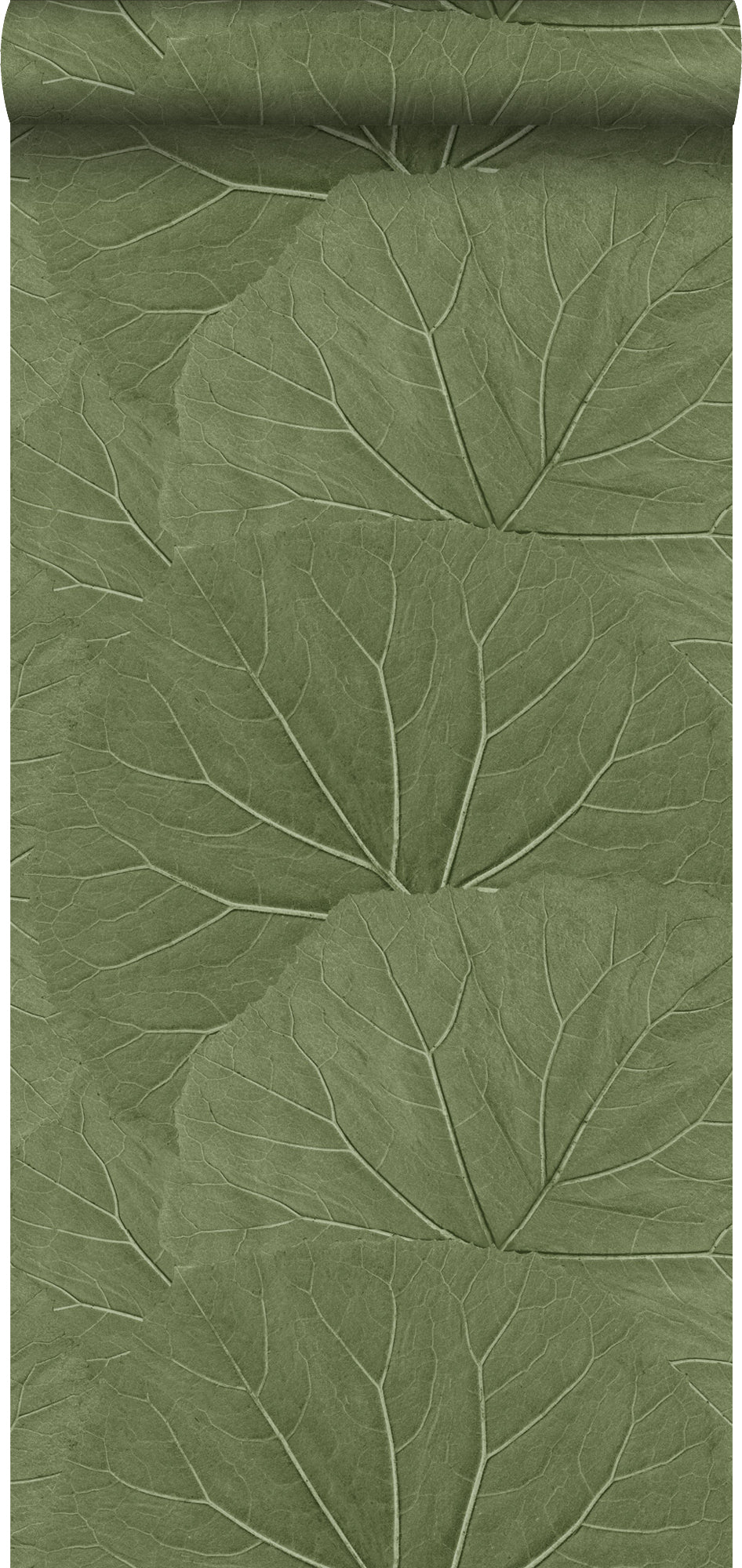 Walls4You behang tropische bladeren vergrijsd olijfgroen - 53 cm x 10.05 m - 935305
