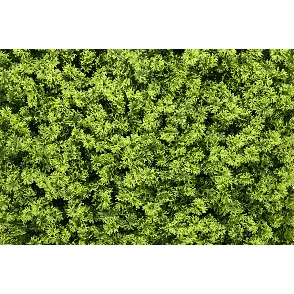 Kunsthaag wandpanelen - Mospaneel heldergroen - 100x100 cm