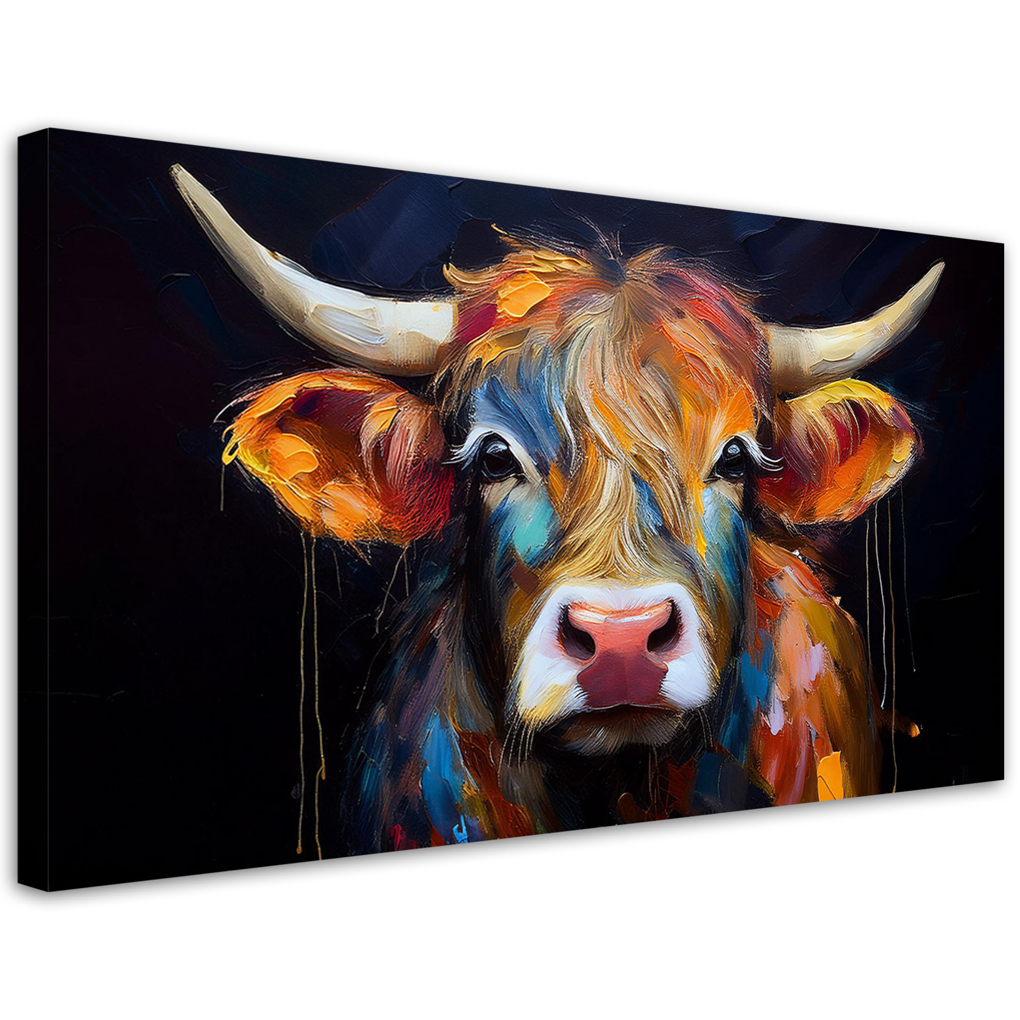 Feeby Obraz na płótnie, Kolorowa Szkocka Krowa 80x40