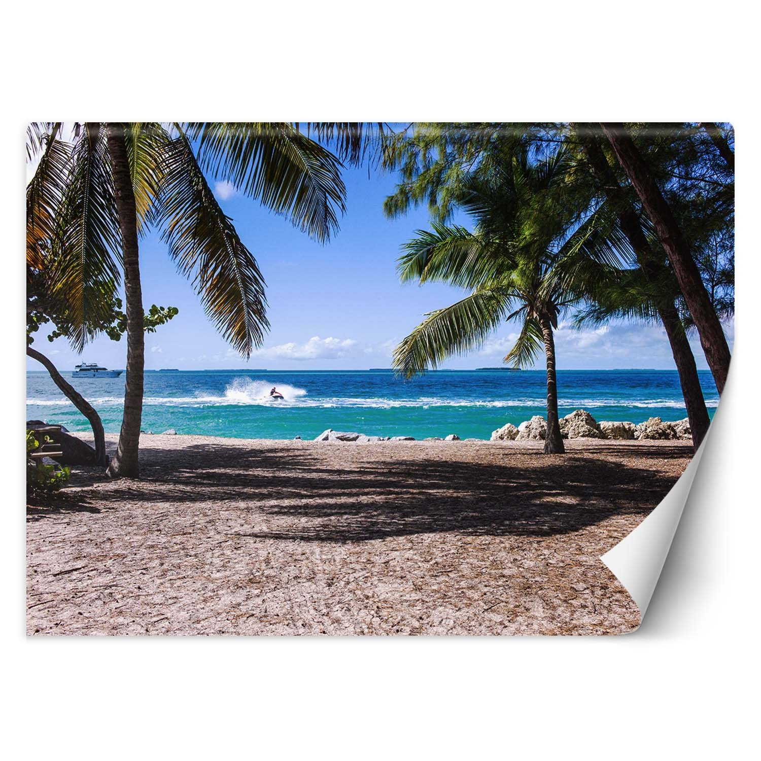 Feeby Fototapeta, Piaszczysta plaża pomiędzy palmami 150x105