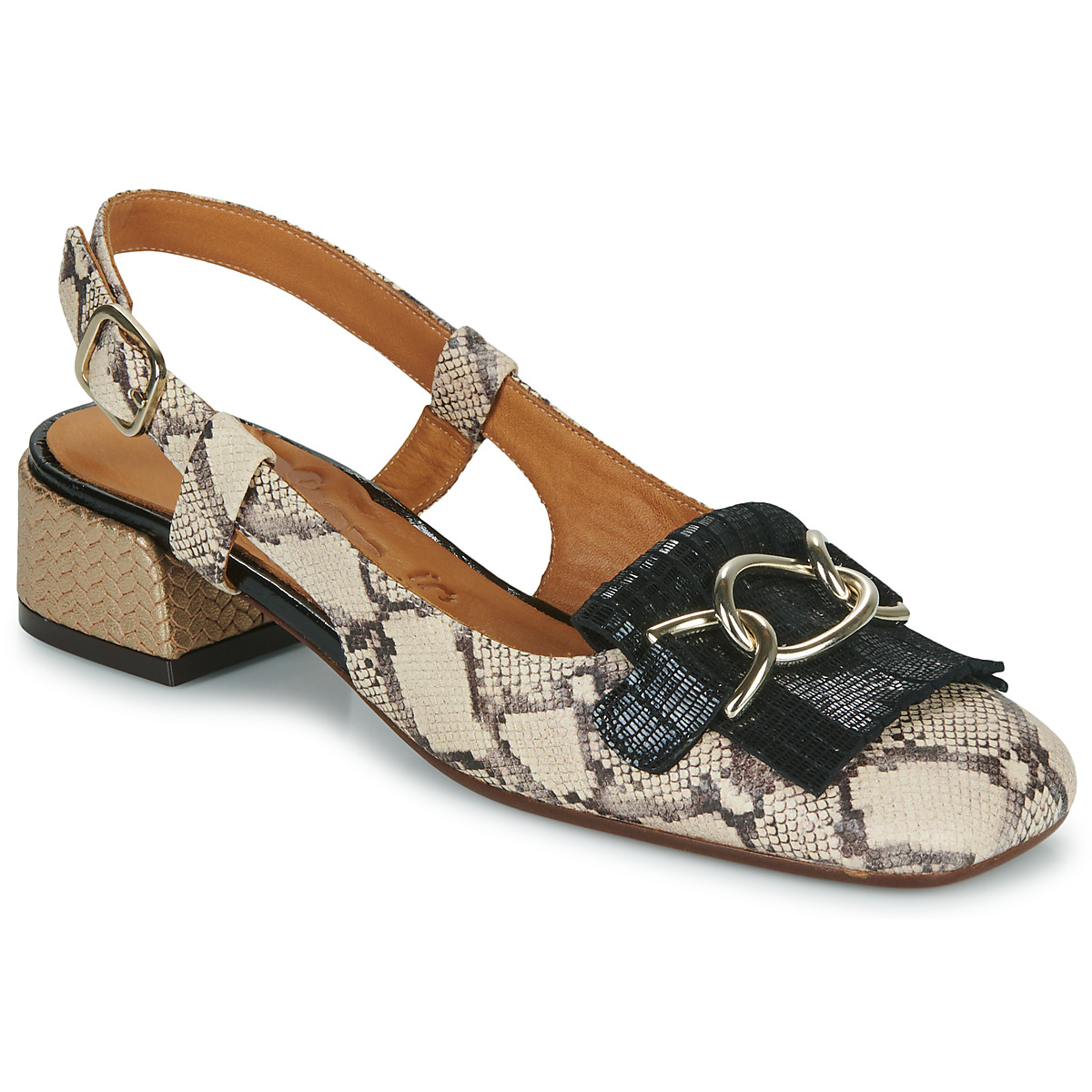 Chie Mihara - ILNA - Python
