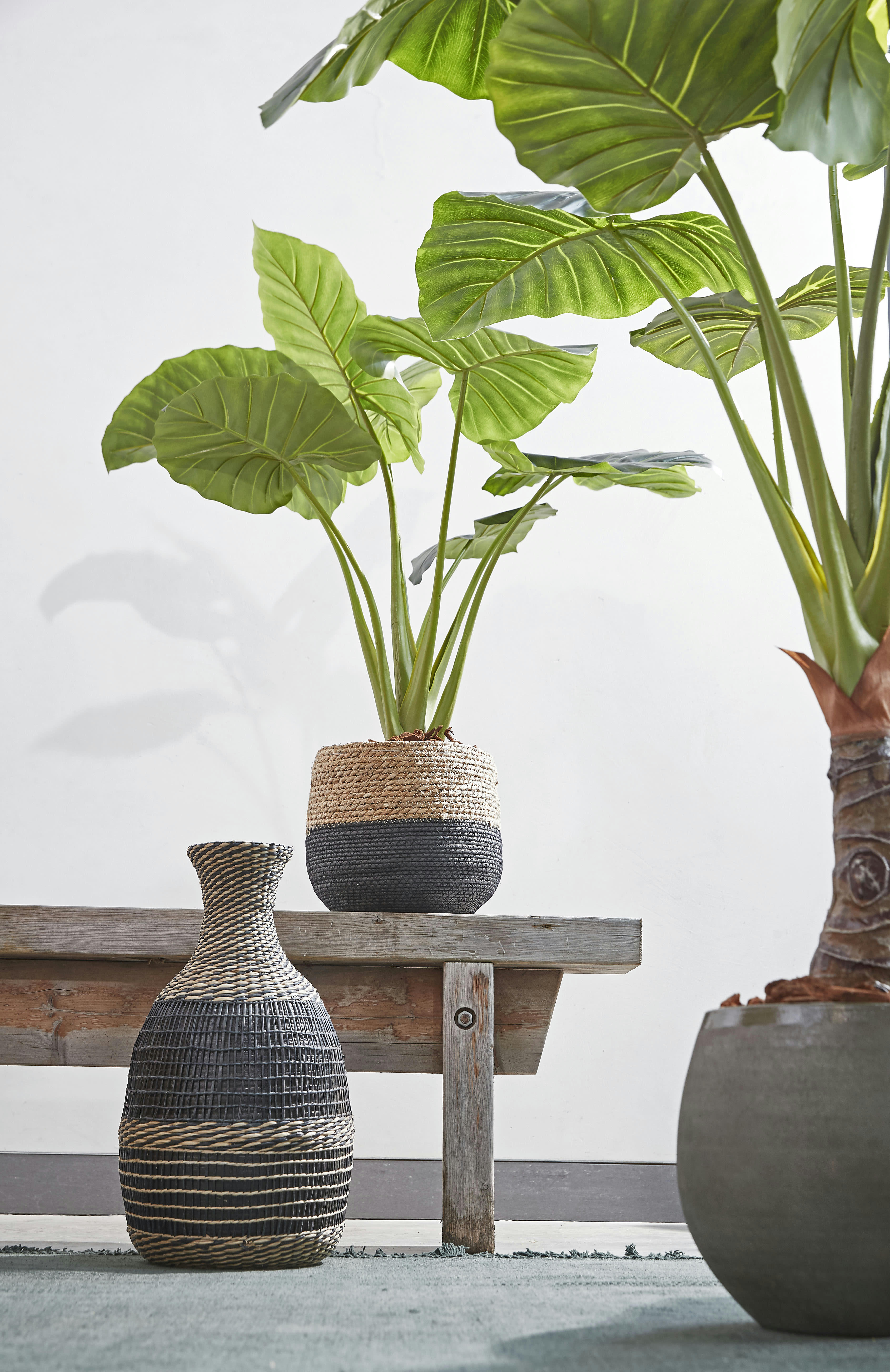 JORCK - 3 cache-pots en jonc de mer noir et marron H24