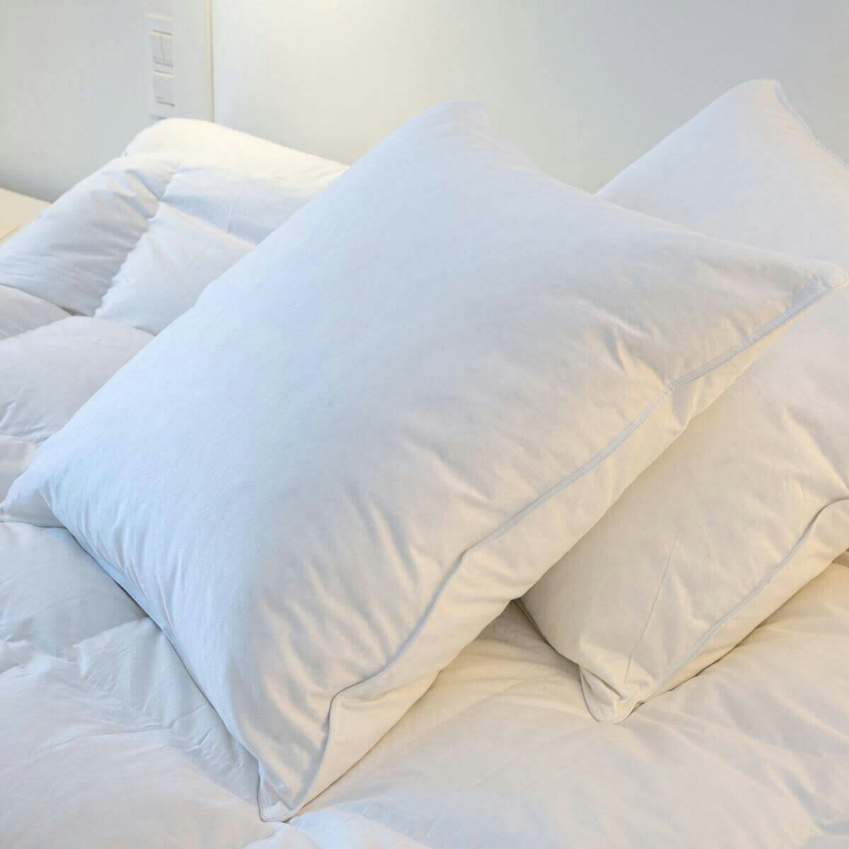 PREMIUM - Oreiller plat naturel moelleux en plumes et duvet 65x65 cm