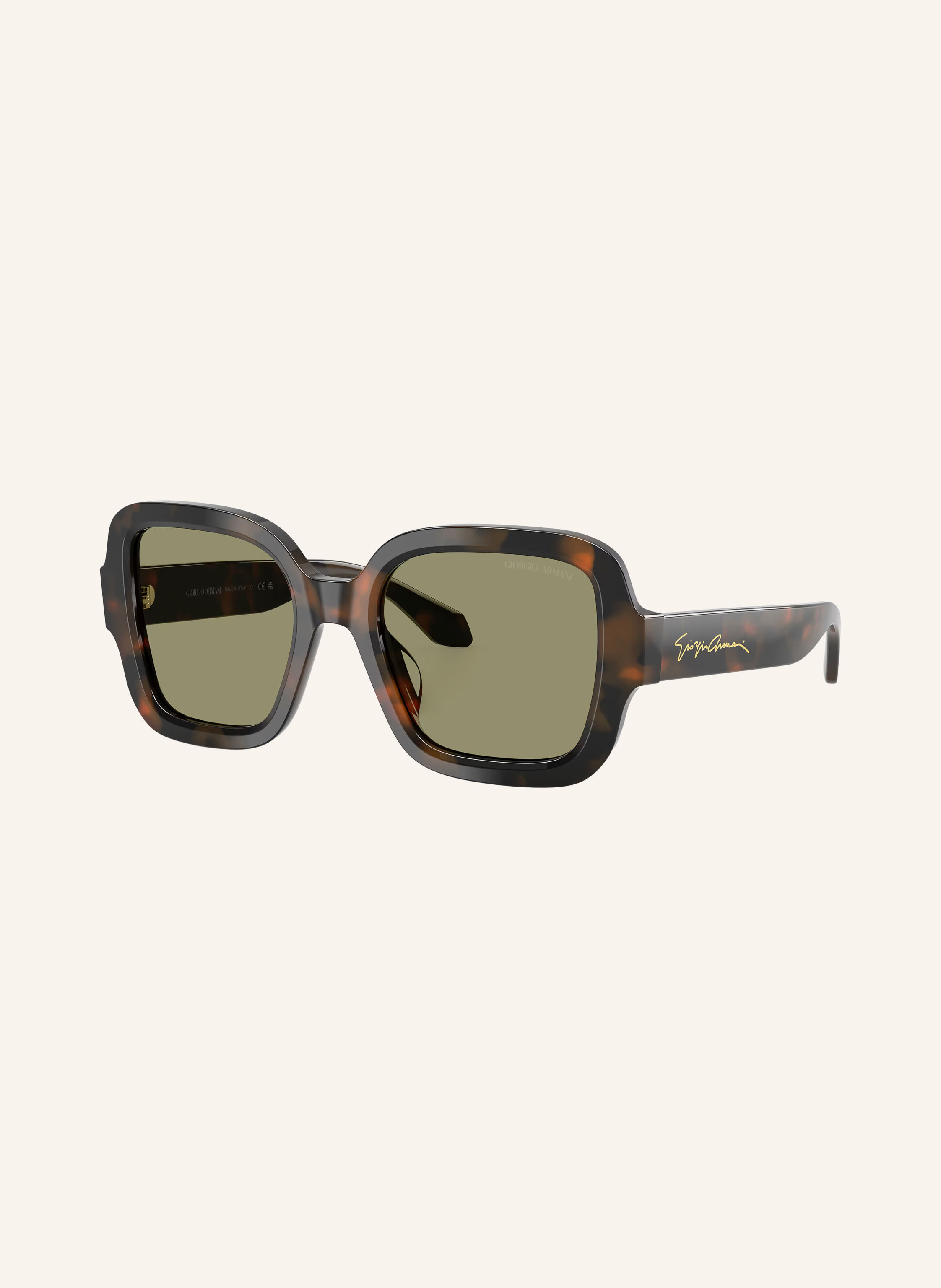 GIORGIO ARMANI Sonnenbrille AR8268U